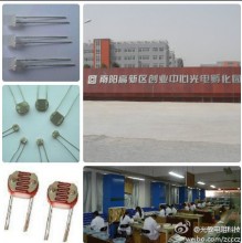 光敏电阻,环保光敏电阻,环境光探测器,线性光电耦合器,光敏传感器,贴片光敏传感器,电阻套,金属壳光敏电阻,线性光耦等产品,工厂,厂商-李占才信利佳光敏电阻生产基地、线性光耦、热释电、