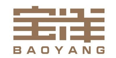 海南宝洋实业