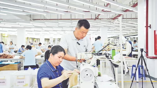 全国劳动模范何喆 实业报国 匠心织梦